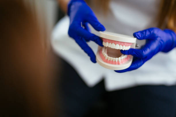 Why Choose Us for Your Dental Needs in Davis Junction, IL