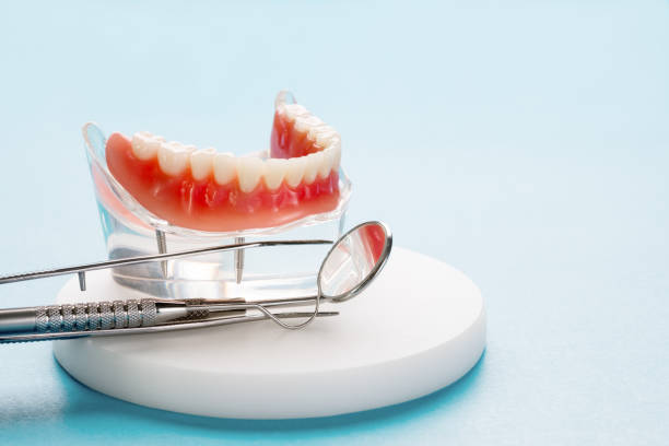 Best Pediatric Dentistry  in Davis Junction, IL